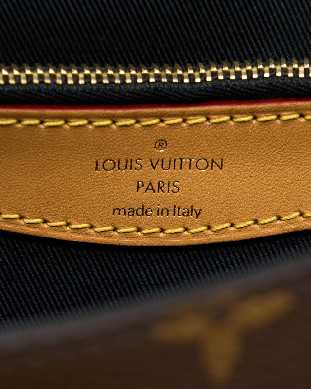 AAA Replica Louis Vuitton LV DIANE BAG MONOGRAM CANVAS WITH JACQUARD STRAP GHW (NEW VERSION)