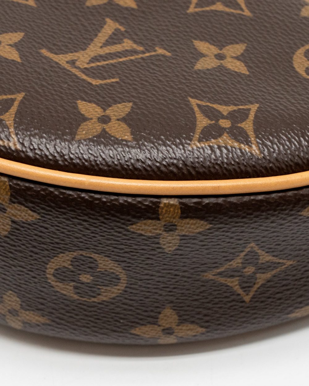AAA Replica Louis Vuitton LV LOOP MONOGRAM CANVAS GHW