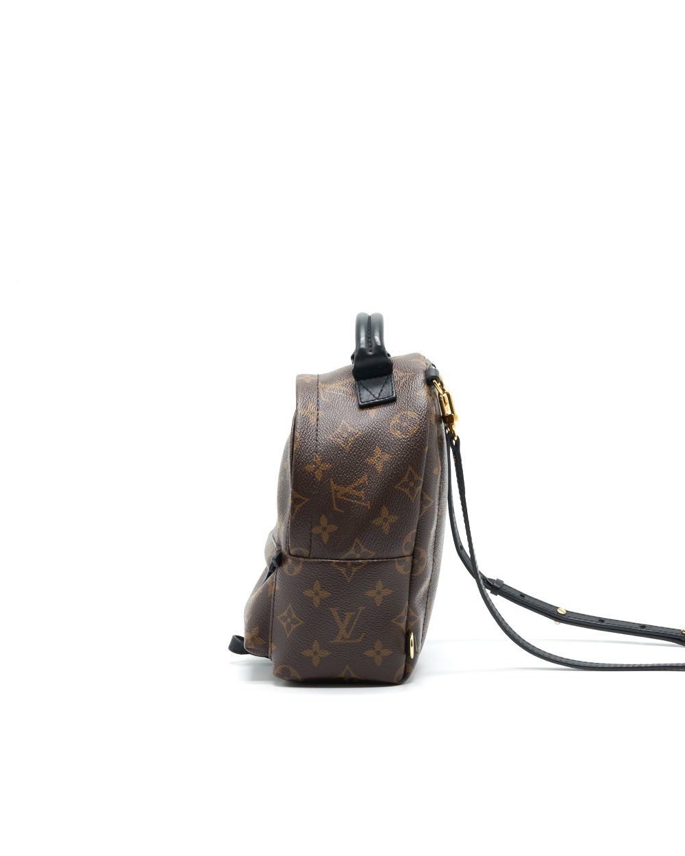AAA Replica Louis Vuitton LV MINI PALM SPRINGS BAG MONOGRAM CANVAS