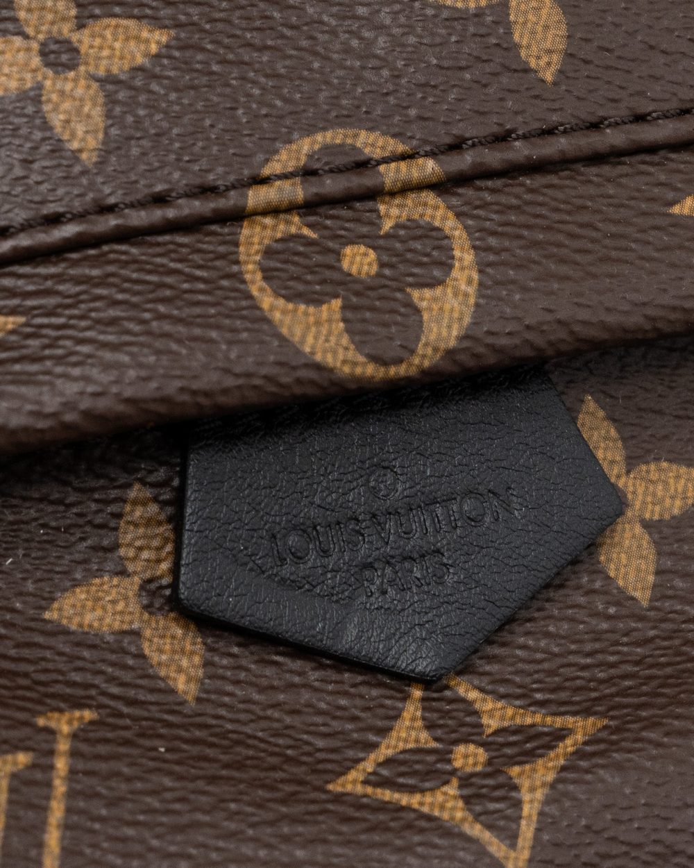 AAA Replica Louis Vuitton LV PALM SPRING MINI BACKPACK MONOGRAM CANVAS GHW (NEW VERSION)