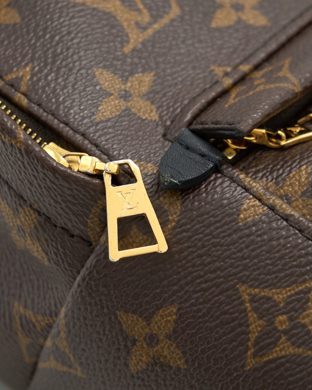 AAA Replica Louis Vuitton LV MINI PALM SPRINGS BAG MONOGRAM CANVAS