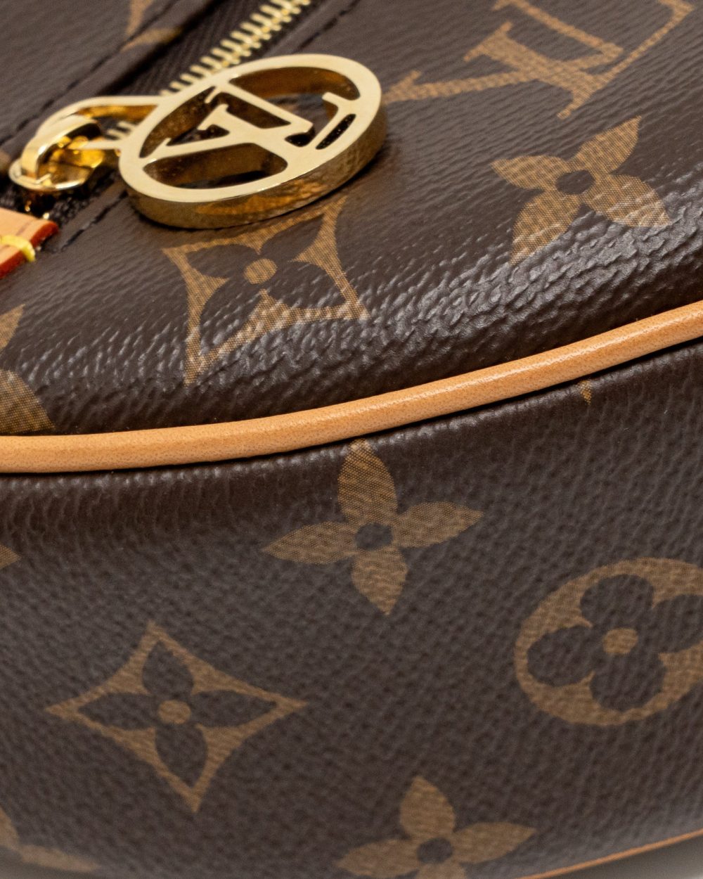 AAA Replica Louis Vuitton LV LOOP BAG MONOGRAM CANVAS GHW
