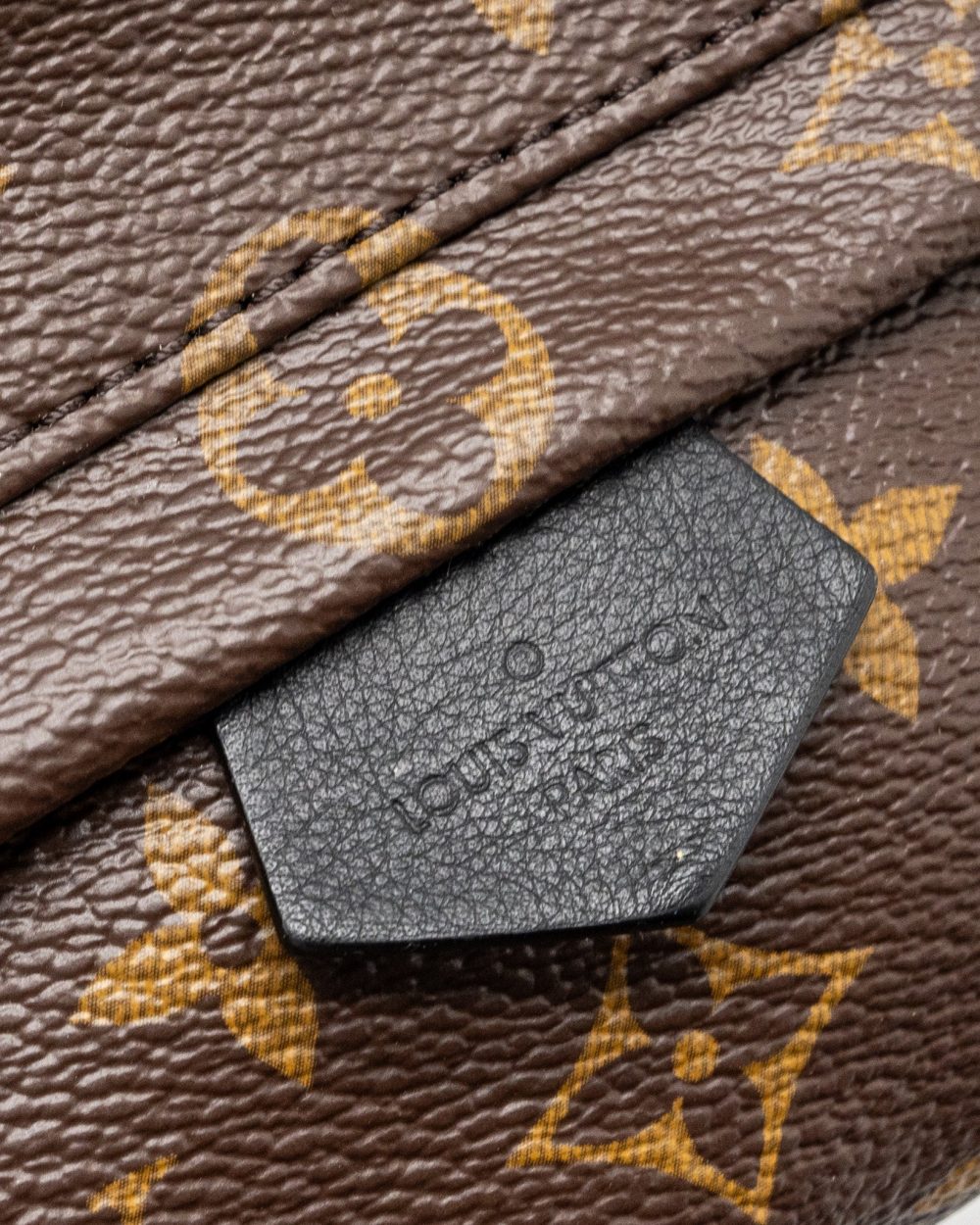 AAA Replica Louis Vuitton LV MINI PALM SPRING BACKPACK MONOGRAM CANVAS GHW