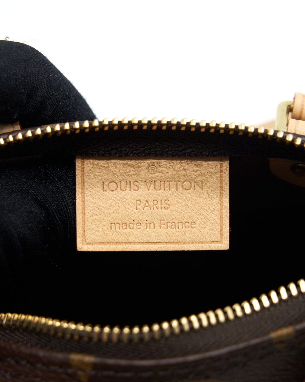 AAA Replica Louis Vuitton LV NANO SPEEDY MONOGRAM