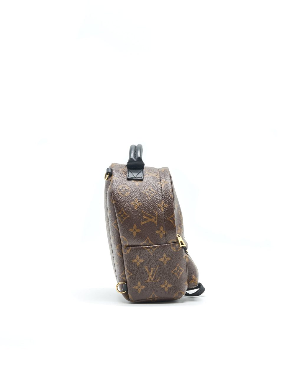 AAA Replica Louis Vuitton LV PALM SPRINGS MINI MONOGRAM CANVAS
