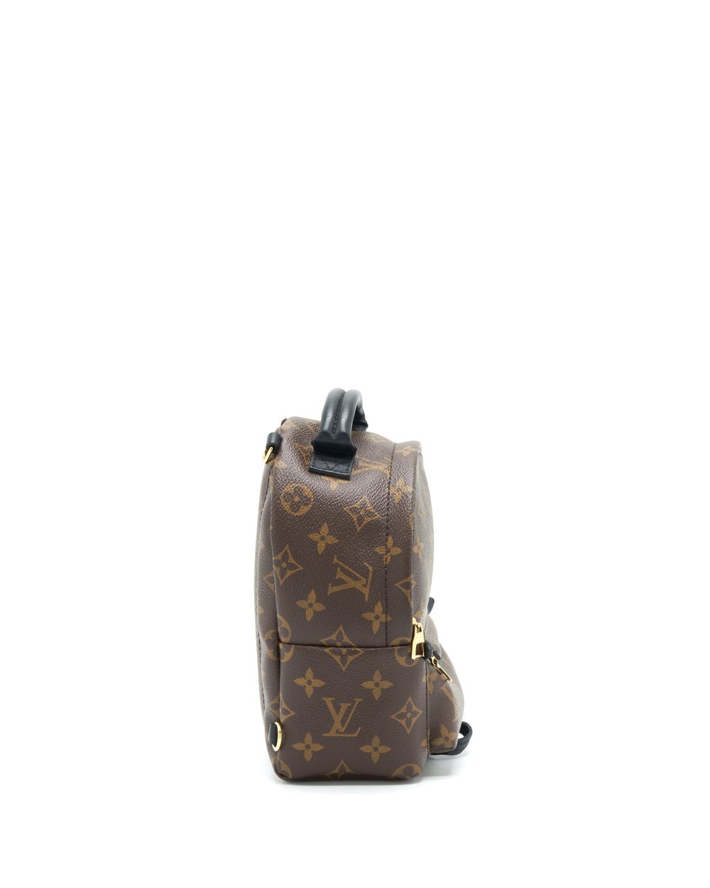 AAA Replica Louis Vuitton LV LOUIS VUITTIN PALM SPRING BACKPACK MINI MONOGRAM CANVAS