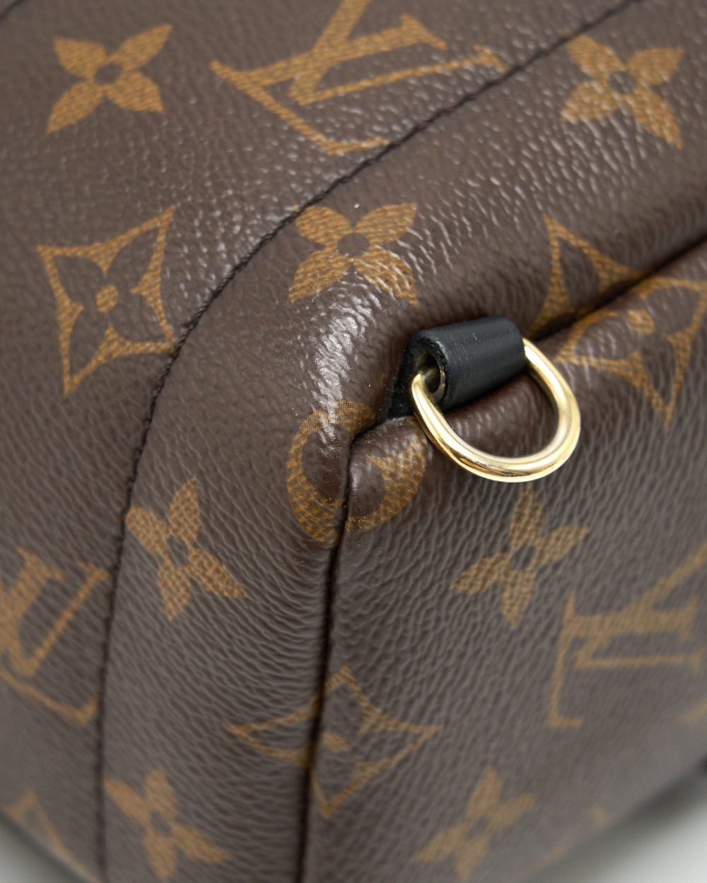 AAA Replica Louis Vuitton LV PALM SPRINGS MINI MONOGRAM CANVAS
