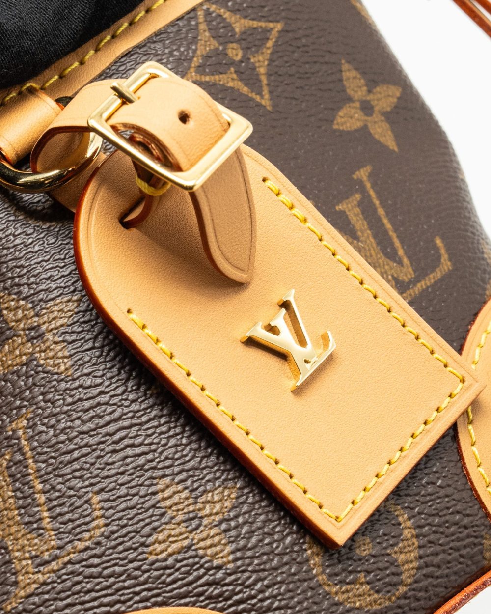 AAA Replica Louis Vuitton LV NOE PURSE MONOGRAM CANVAS GHW