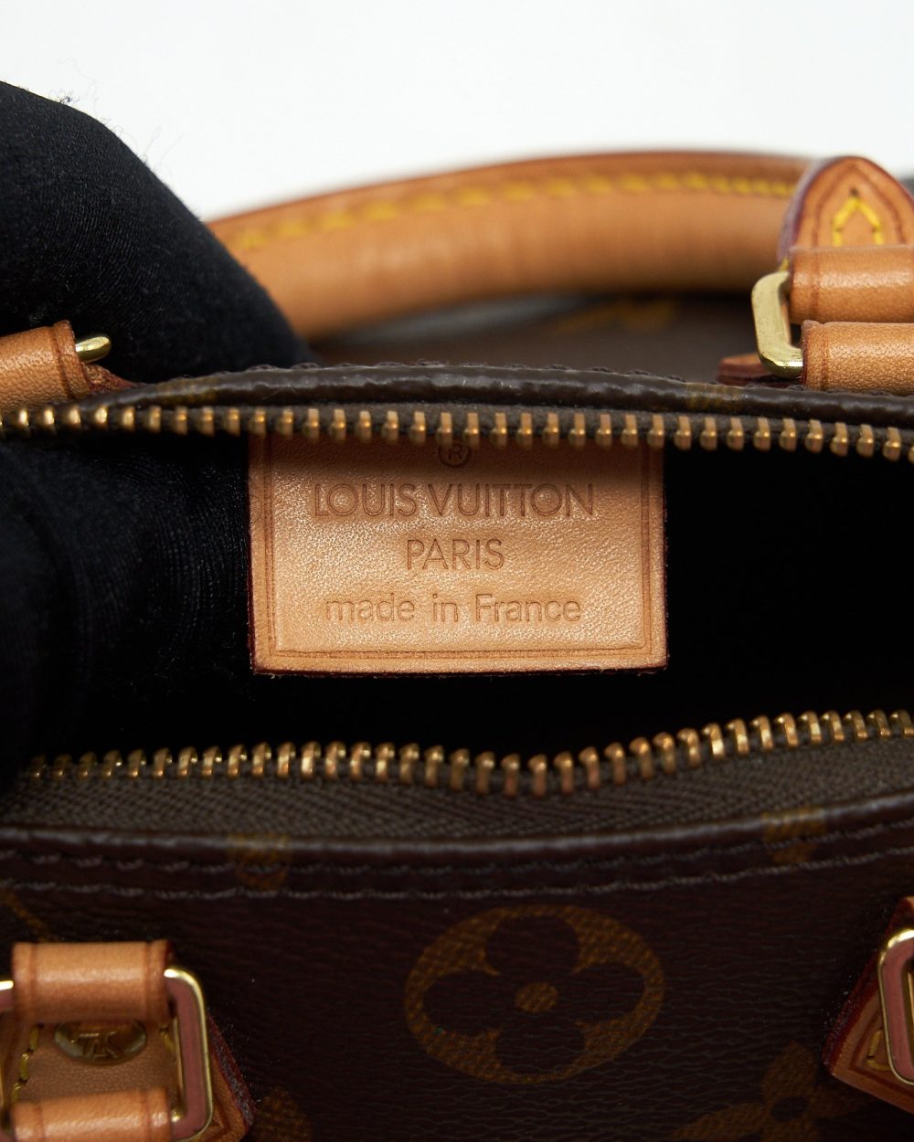 AAA Replica Louis Vuitton LV NANO SPEEDY MONOGRAM
