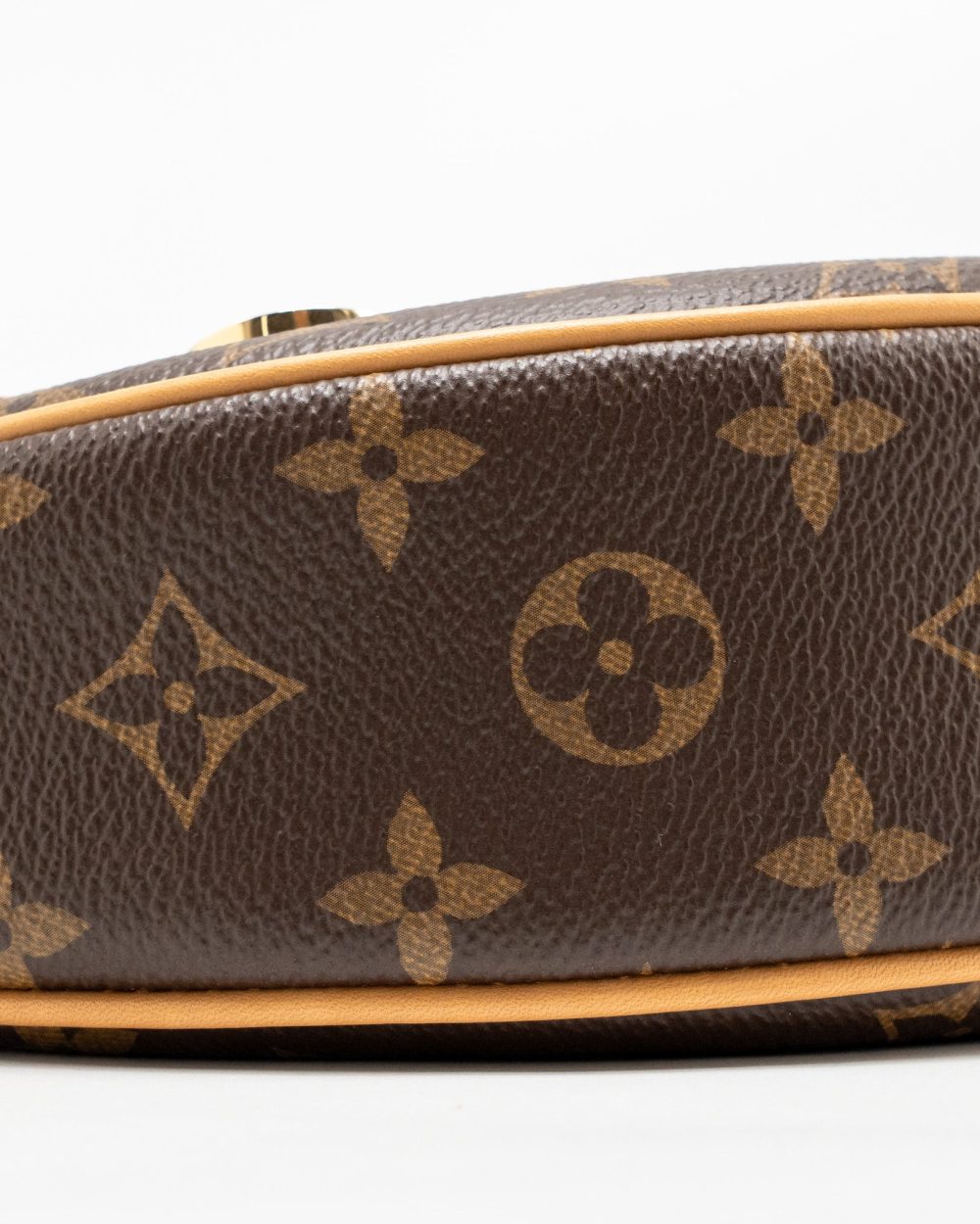 AAA Replica Louis Vuitton LV LOOP BAG MONOGRAM CANVAS GHW