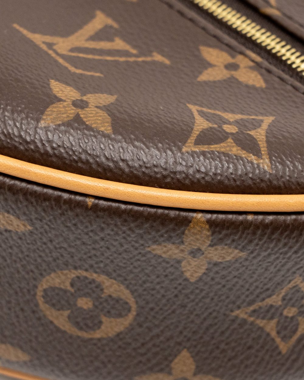 AAA Replica Louis Vuitton LV LOOP BAG MONOGRAM CANVAS GHW