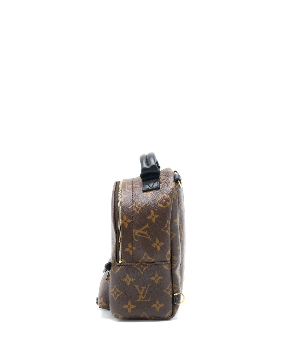 AAA Replica Louis Vuitton LV MINI PALM SPRING BACKPACK MONOGRAM CANVAS GHW