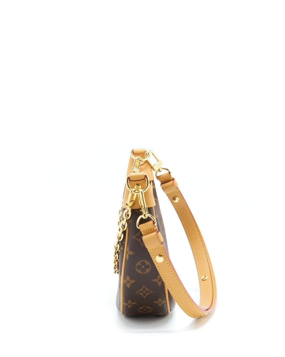 AAA Replica Louis Vuitton LV LOOP BAG MONOGRAM CANVAS GHW